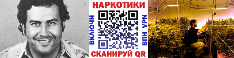 Купить закладку Суздаль A-PVP  ГАШ  МАРИХУАНА 