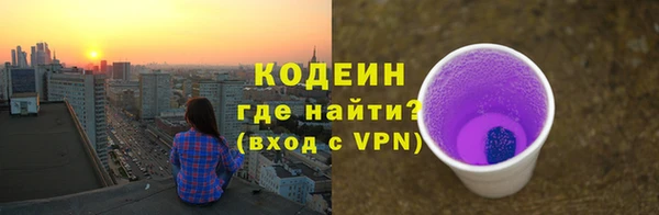 дживик Абаза