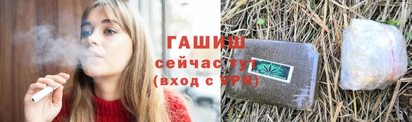 дживик Абаза