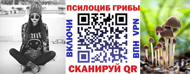 Галлюциногенные грибы Psilocybe Суздаль