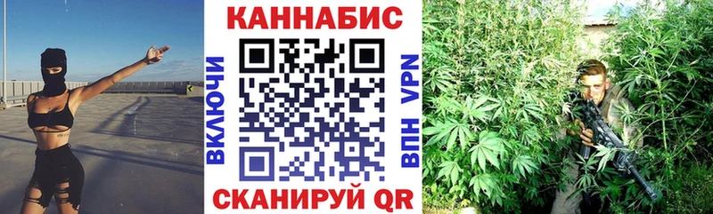 дарк нет состав  Суздаль  Конопля семена 